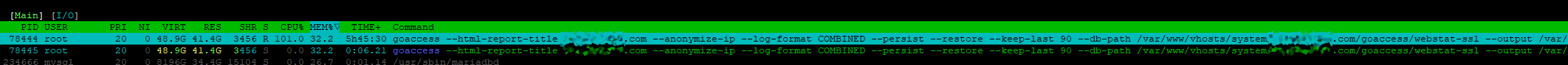 goaccess-issue.png